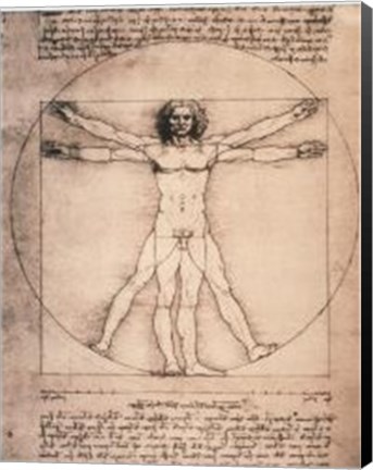 Framed Vitruvian Man, 1492 Print