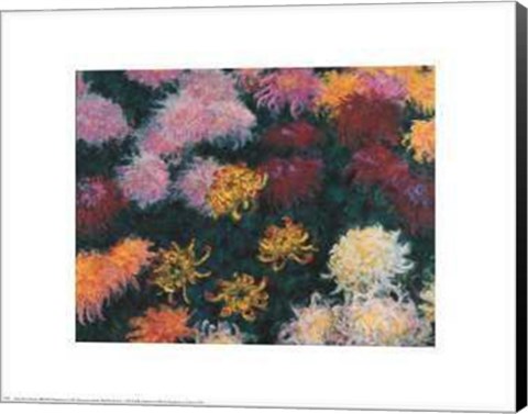 Framed Chrysanthemum, 1897 Print