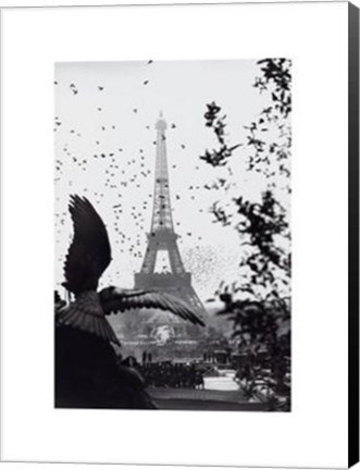 Framed Eiffel Tower Print