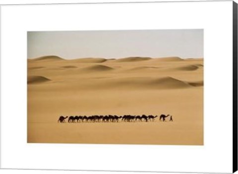 Framed Camel Train, Mauritania Print