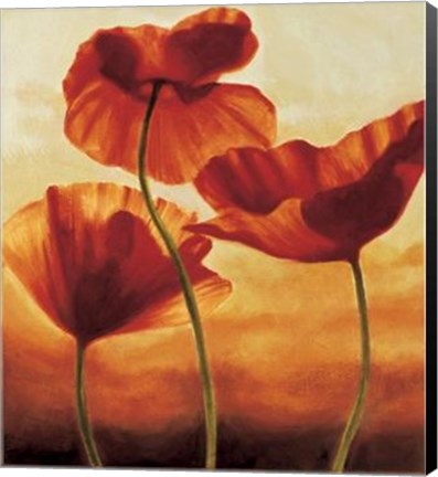 Framed Poppies In Sunlight II Print