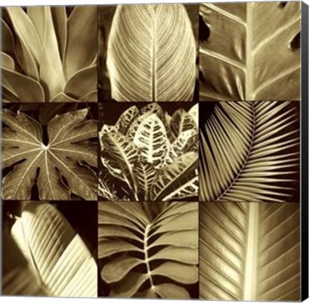 Framed Tropical Leaves II Print