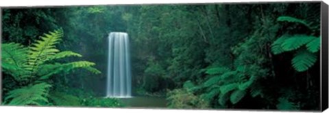 Framed Millaa Millaa Falls, Queensland, Austral Print