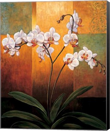 Framed Orchids Print