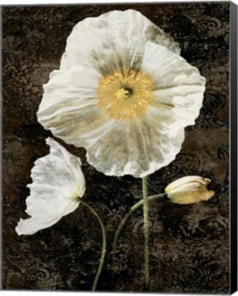 Framed Poppies II Print