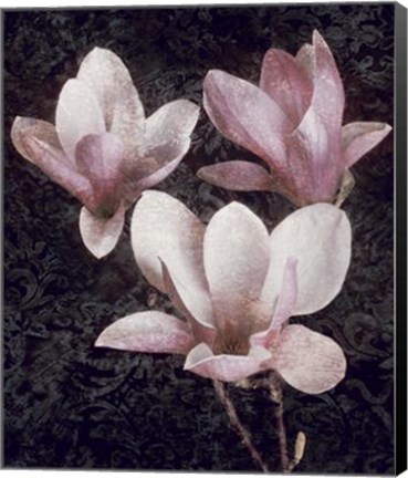 Framed Pink Magnolias II Print