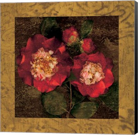 Framed Red Camellias II Print