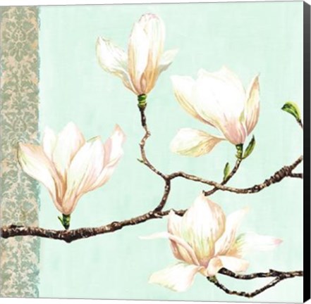 Framed Magnolias On Turquoise Print