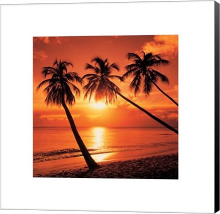 Framed Tropical Sunset Print