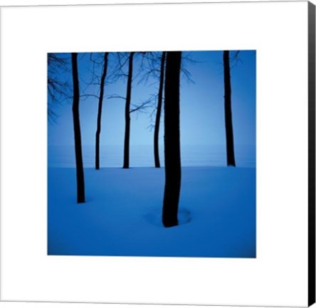 Framed Trees In Snow Print