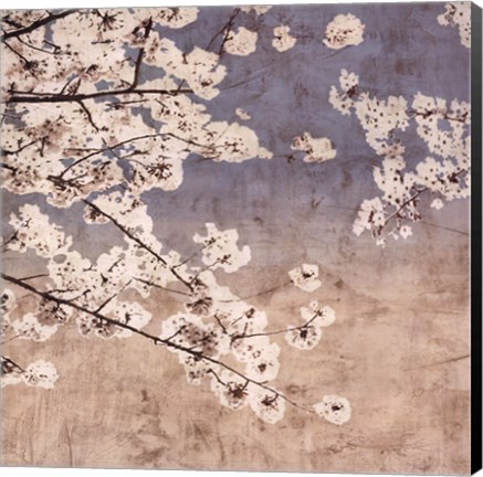 Framed Cherry Blossoms II Print