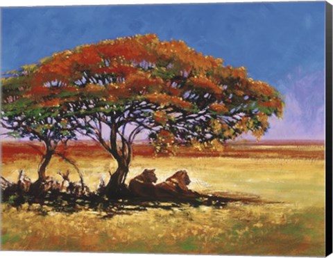 Framed African Shade Print