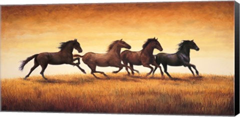 Framed Stallions at Sunset Print