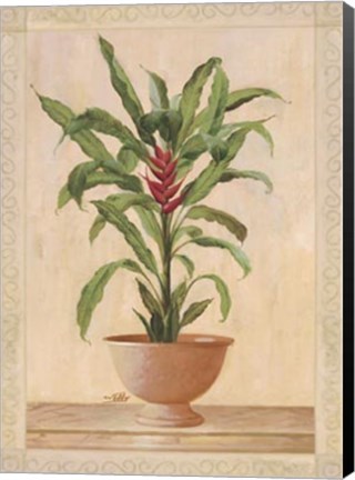 Framed Potted Palm II Print