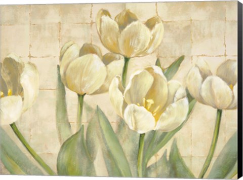 Framed White Tulips on Ivory Print