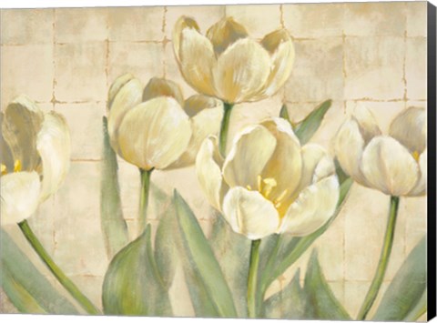 Framed White Tulips on Ivory Print