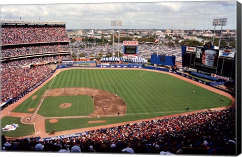 Framed Shea, 1986 Print