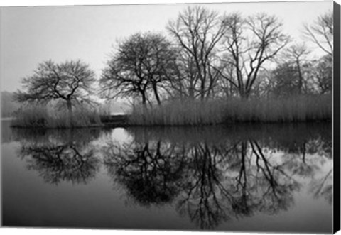 Framed Prospect Park Morning Print