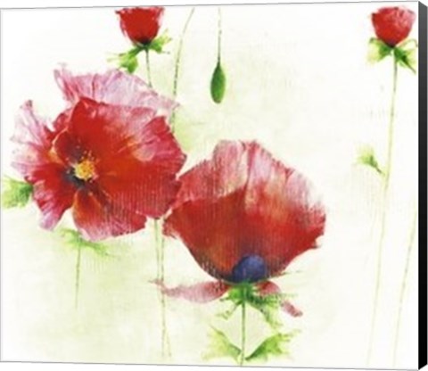 Framed Red Poppies I Print