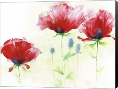 Framed Red Poppies II Print