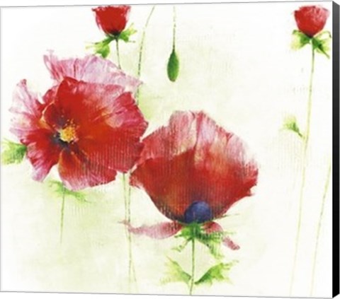 Framed Red Poppies I Print