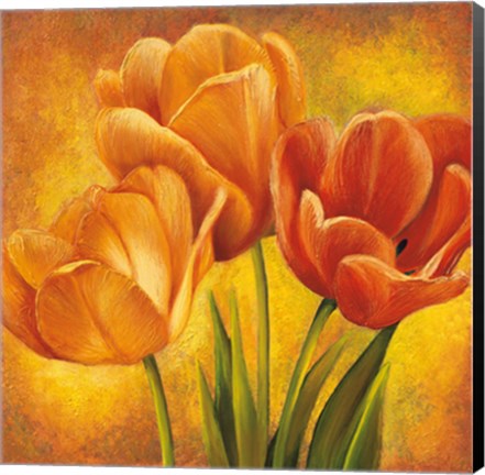 Framed Orange Tulips II Print