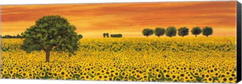 Framed Field of Sunflowers Print