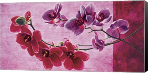 Framed Composizione di orchidee Print