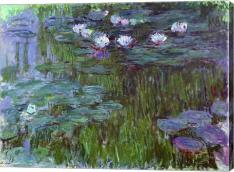 Framed Waterlilies, 1914-17 Print