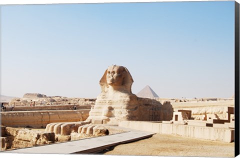 Framed Sphinx Print