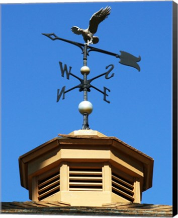 Framed Weathervane Print