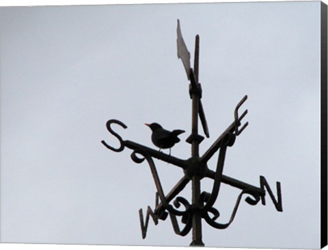 Framed Weathervane on the McKee Clock, Bangor Print