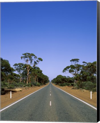 Framed Road passing through a forest, Western Australia, Australia Print