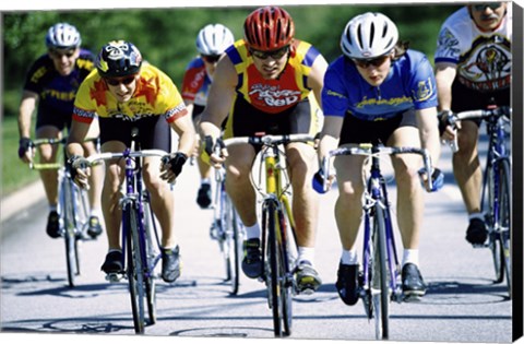 Framed Group of cyclists riding bicycles Print