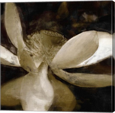 Framed Bronze Lily VI Print