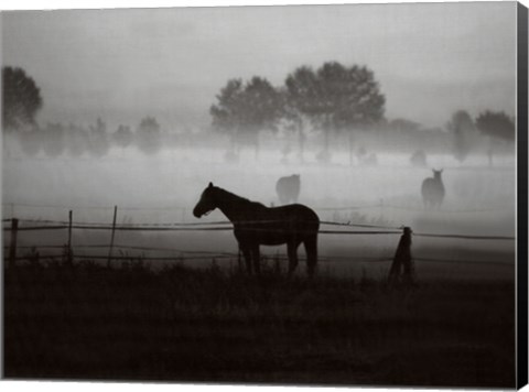 Framed Grazing in the Mist Print