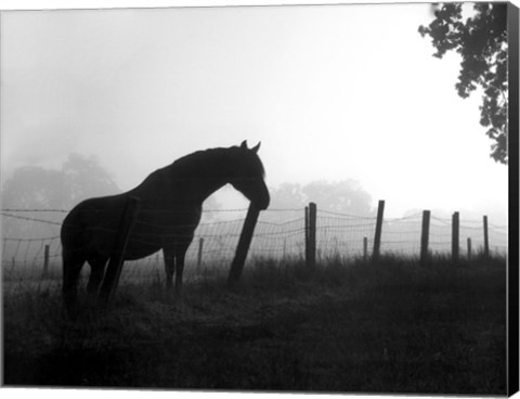 Framed Morning Pasture Print