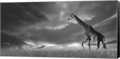 Framed Giraffes, African Skies Print