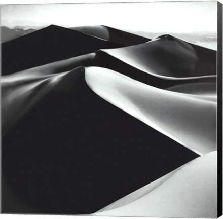 Framed Sand Dunes Print