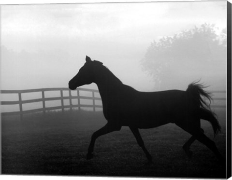 Framed Morning Pasture II Print