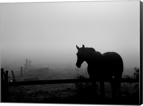 Framed Grazing in the Mist II Print