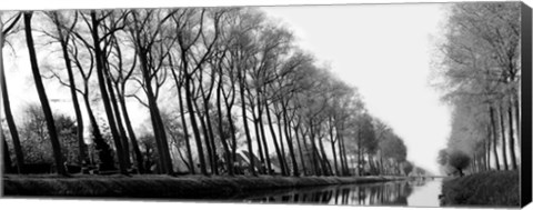 Framed Reflections on the Bruges Canal Print