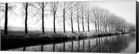 Framed Trees Along the Canal Print