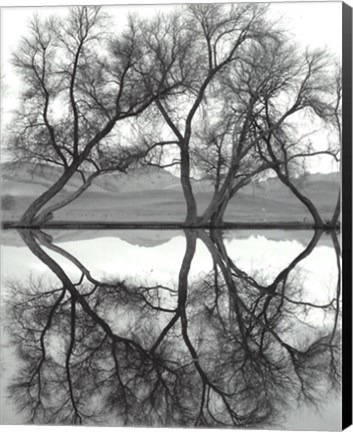 Framed Clarity in the Waters Print