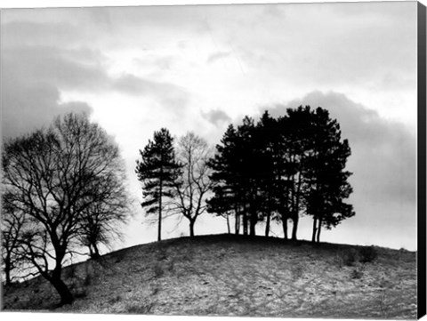 Framed Trees on Hill Print