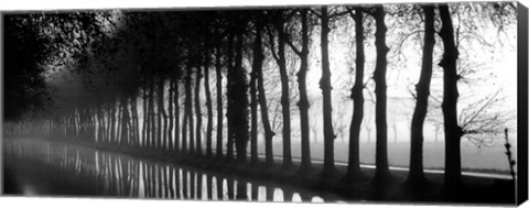 Framed Tree Lined Canal Print