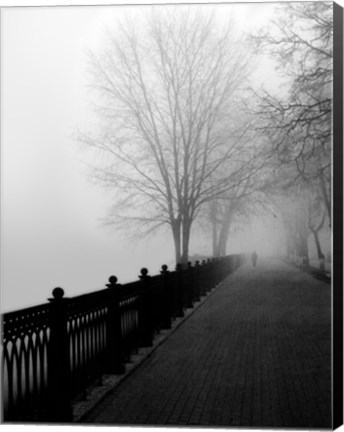 Framed Promenade in the Mist Print