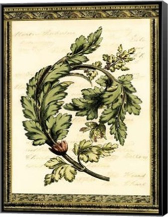 Framed Leaves of Elegance II Print