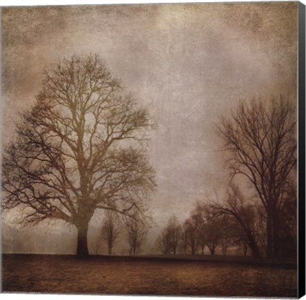 Framed Morning Meditation I Print