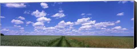 Framed Road through agriculture fields, Baden-Wurttemberg, Germany Print